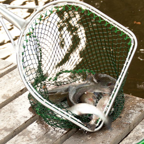 Fisch Netz